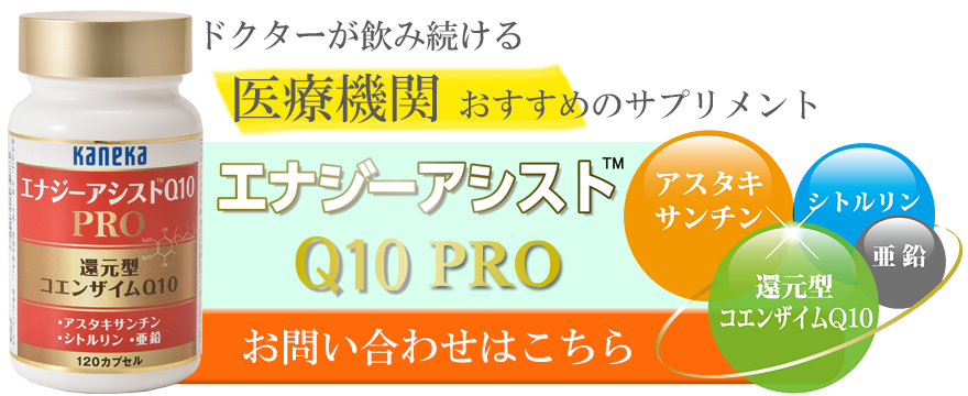 エナジーアシストq10 Pro Of 株式会社alt